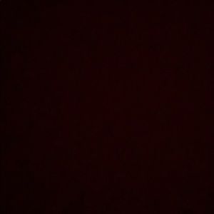 Meet your Posher, Yareli